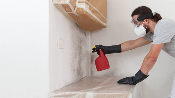 Professional Basement Mold Removal technician working in Selma, NC